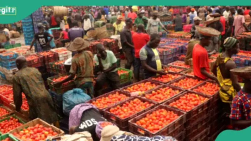 Nigeria's Inflation Rises to 15.93%: 10 Most Expensive States to Live In