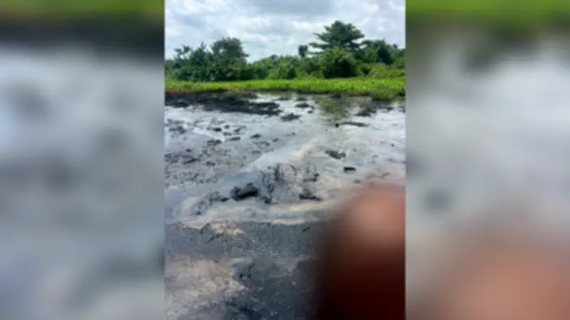 Ogun Community Alarmed by Alleged Water Source Pollution from Company