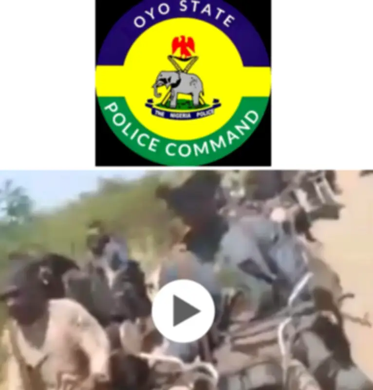 Oyo Police Debunk Terrorist Infiltration Claims in Forests