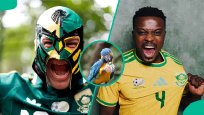 Parrot Predicts Mexico to Beat South Africa in 2026 World Cup Opener