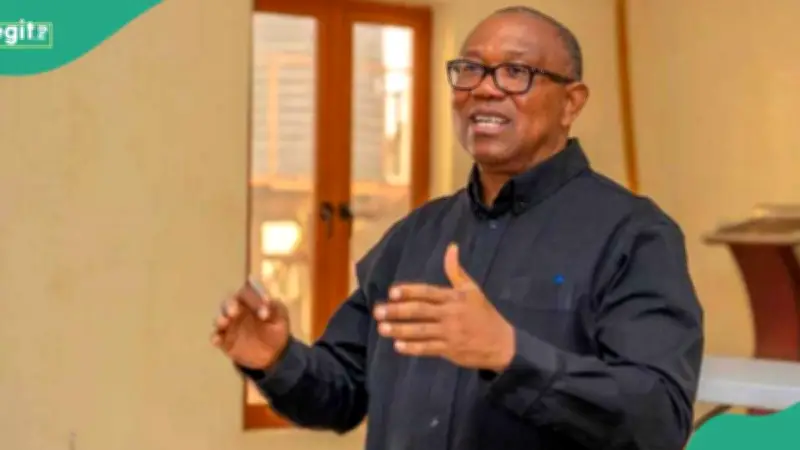 Peter Obi Lists 3 Reasons Nigerians Should Be Wary of State Police Plan