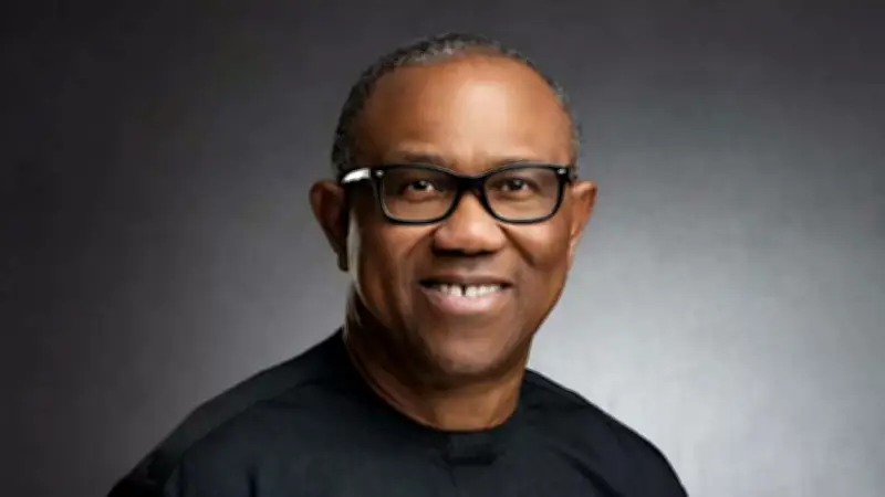 Peter Obi Urges Nigerians to Avoid Lavish Weddings, Embrace Frugality