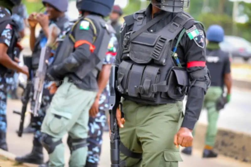 Police arrest 7 in Yobe illegal dane gun factory raid