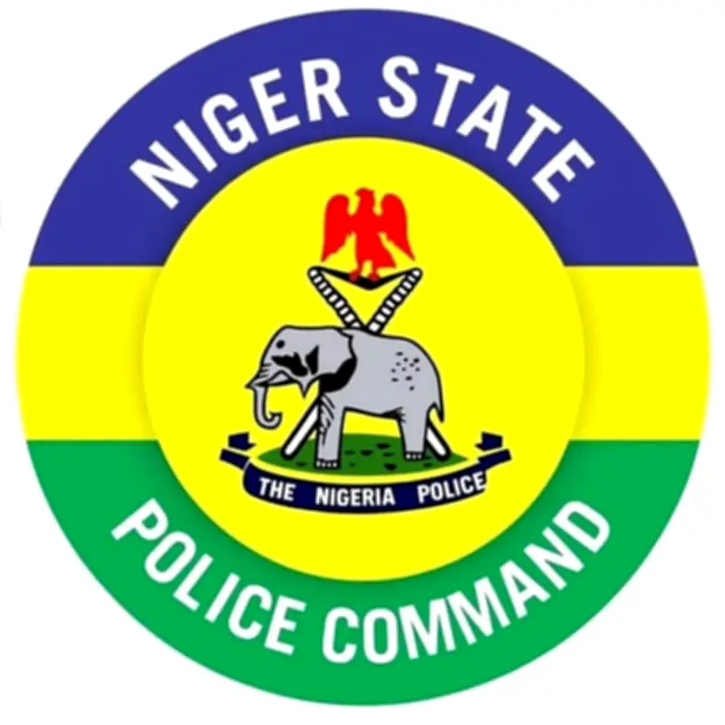 Police arrest man for killing his brother in Niger State