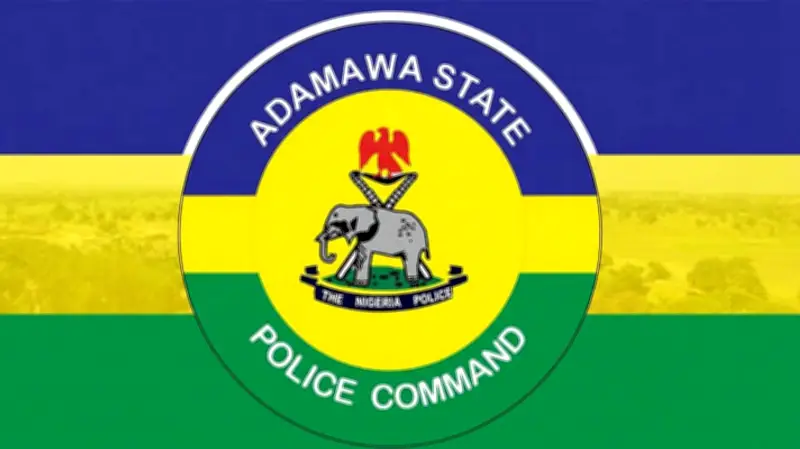 Police Arrest Suspect in Adamawa Triple Kidnapping Case