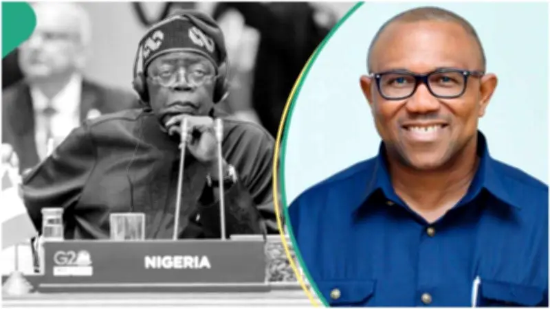 Presidency Dismisses Peter Obi's Call for Tinubu's Resignation as Childish