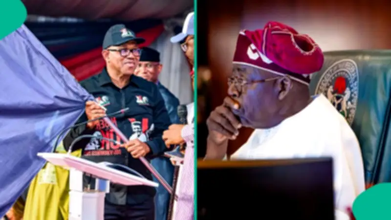 Presidency Knocks Peter Obi Over Ignorance of Nigeria's Power Capacity