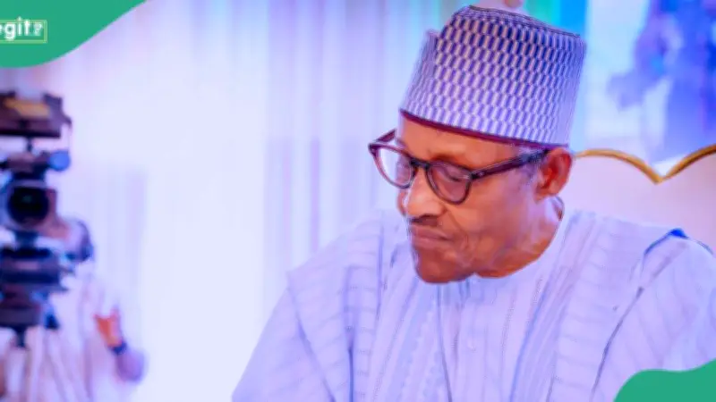 Professor Claims Buhari Was Not Fulani, Sparks Ethnic Debate