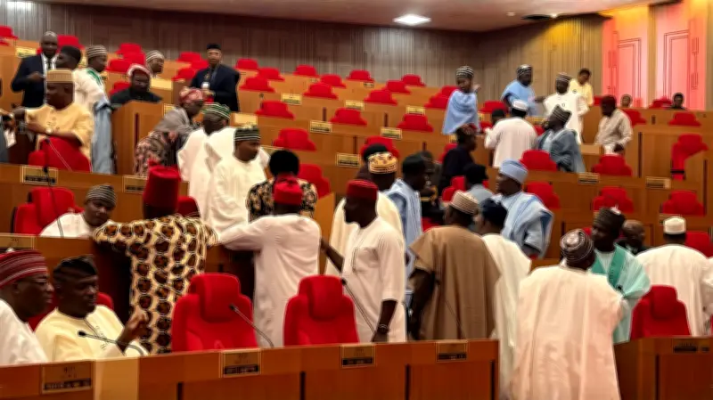 Reps advance bill to strengthen SSDC funding for South-South development