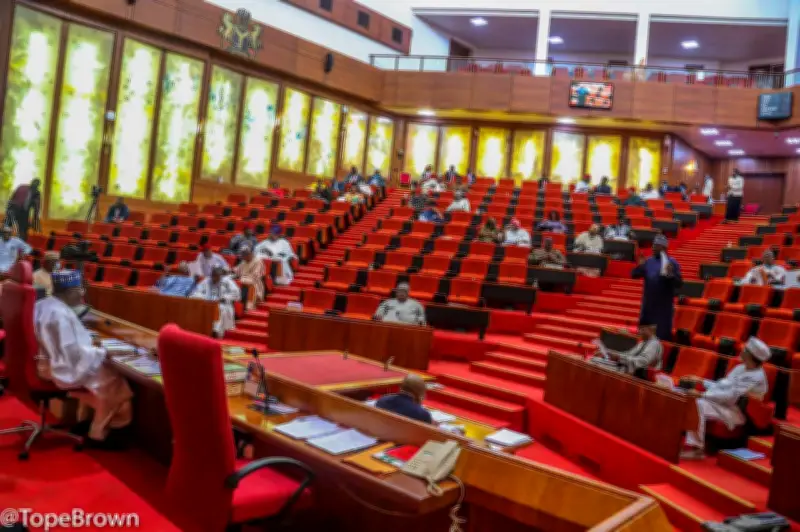 Senate Passes Bill to Establish State Police in Nigeria