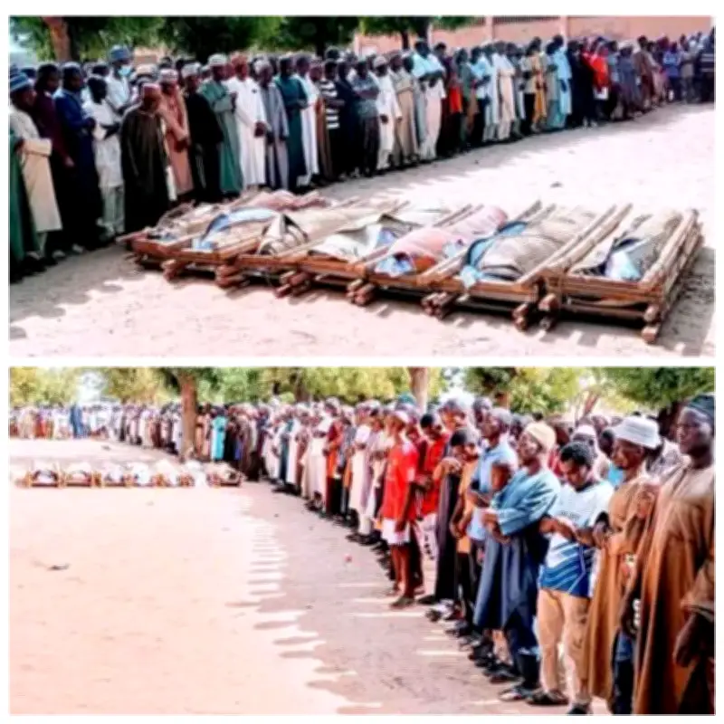 Seven killed in Katsina attack by bandit leader who abducted late Major General Rabe
