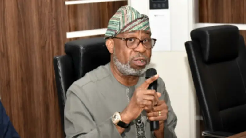 SOMEA Advocates Accelerating Economic Diversification in Nigeria's Mining Sector