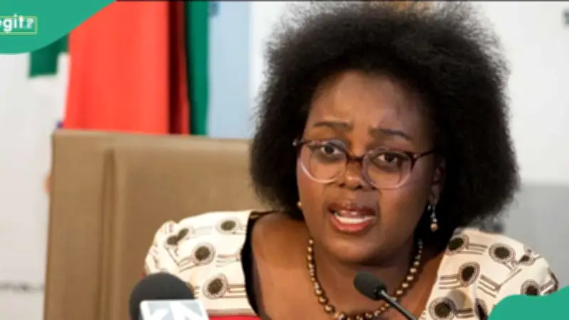 South Africa Minister Laments Lost Gigs for Artists Amid Xenophobia Backlash
