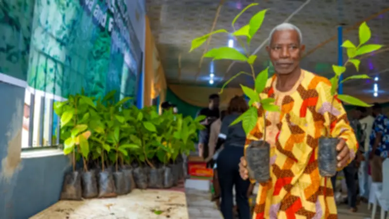 SROL Expands Cocoa and Plantain Rehabilitation for 100 Farmers in Osun