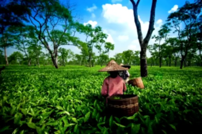 Stakeholders Push Agritourism as Key to Food Security and Economic Growth