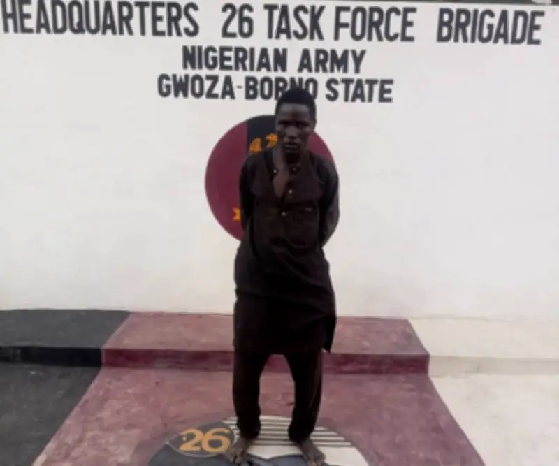Suspected Boko Haram collaborator arrested in Borno, troops hunt for accomplices