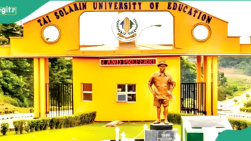 TASFUED Begins 2026/2027 Post-UTME Screening, Lists 63 Courses