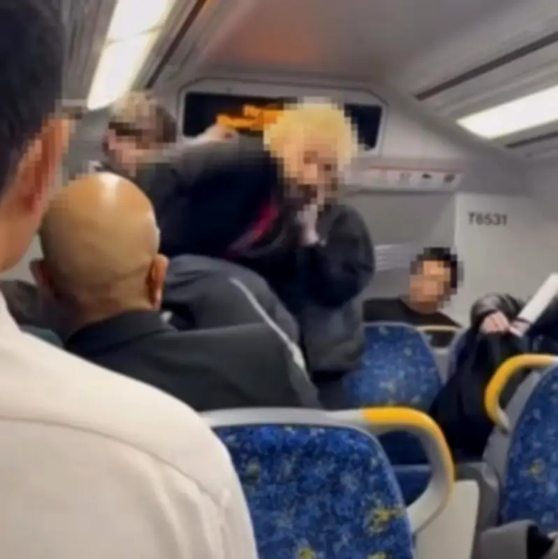 Teens attack man on Sydney train after he asked them to lower music