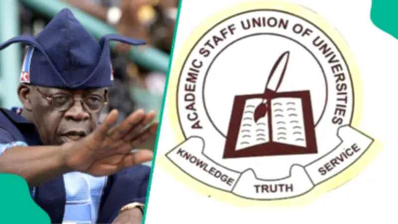 Tinubu's Govt Approves 5 Months' CATA Payment to University Lecturers