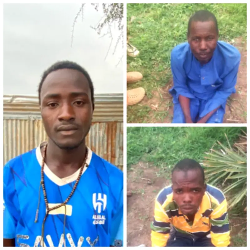 Troops arrest suspected ISWAP spy and Boko Haram logistics suppliers in Borno