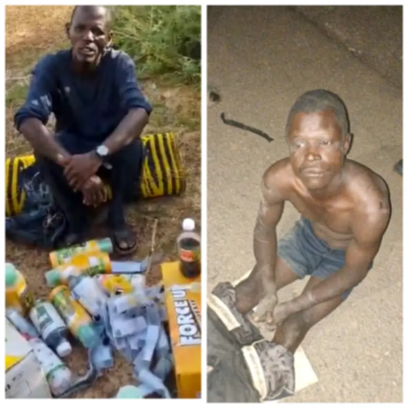 Troops Arrest Two Suspected ISWAP Informants in Borno State Operations