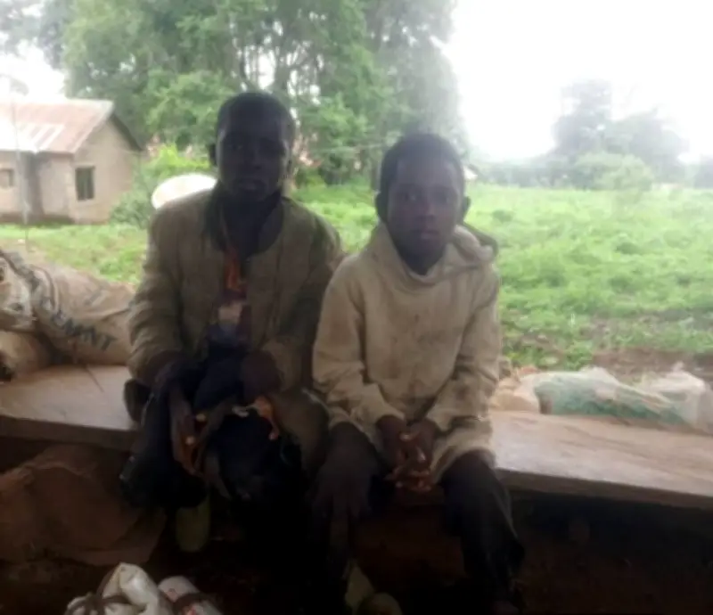 Troops Arrest Two Underage Herders for Illegal Grazing in Plateau