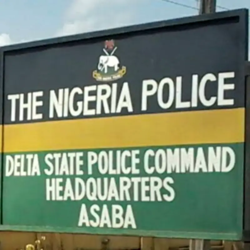 Two Brothers Arrested for Allegedly Raping 15-Year-Old in Delta