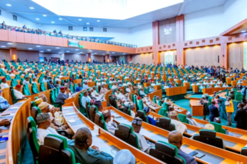 Ugochinyere's Nomination as Reps Minority Leader Sparks Eligibility Debate