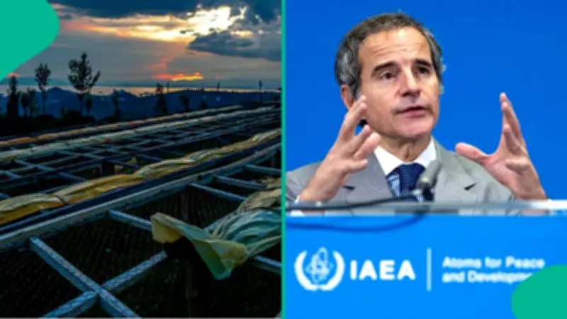 UN Nuclear Chief Insists Iran Pledge Needs Very Strong Verification