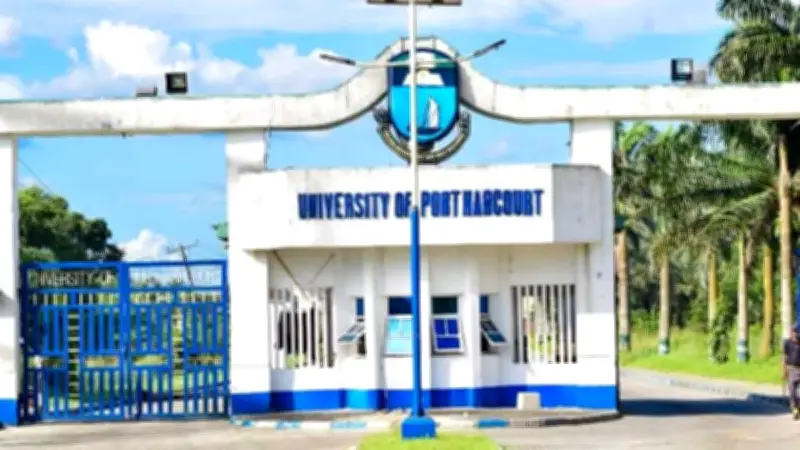 UNIPORT Graduate Opens Up on 3 Carryovers, 2 Es: My Story