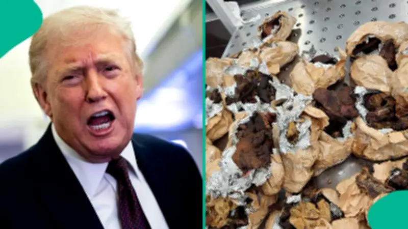 US Bans Bush Meat, Lists Prohibited Items for Travelers in 2026