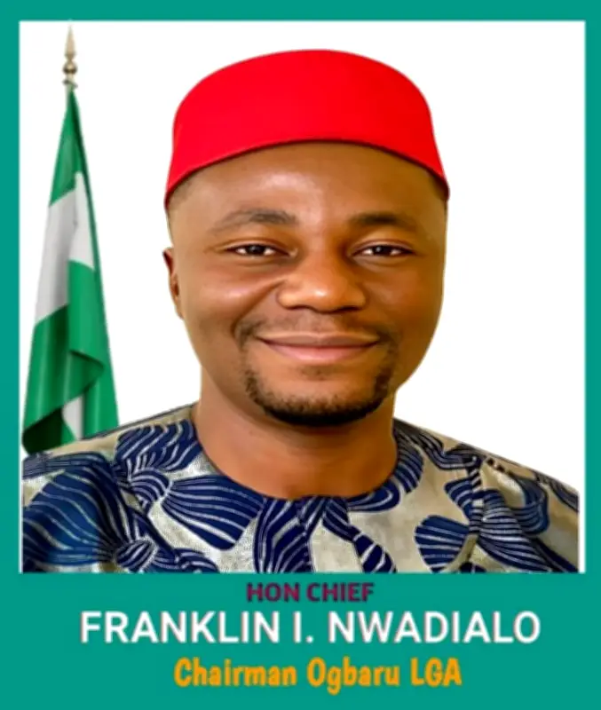 US court sentences Anambra LG chairman to 5 years for $3.5m romance scam