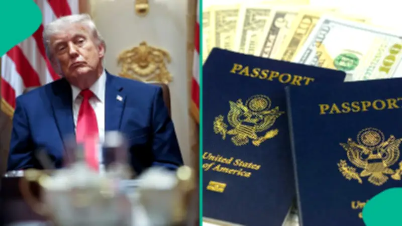 US Cuts African Visa Embassies from 50 to 20 Hubs: Full List of Countries