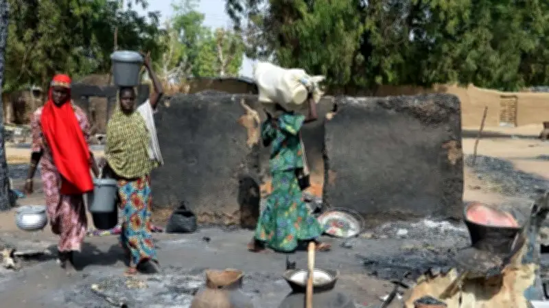 Violence and Insecurity Worsen Household Poverty in Northern Nigeria, Report Reveals