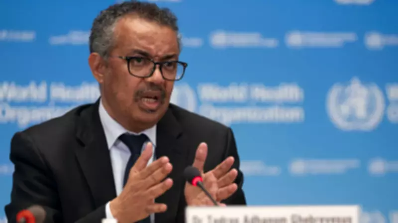WHO Urges Global Ban on Flavoured Tobacco and Nicotine Products