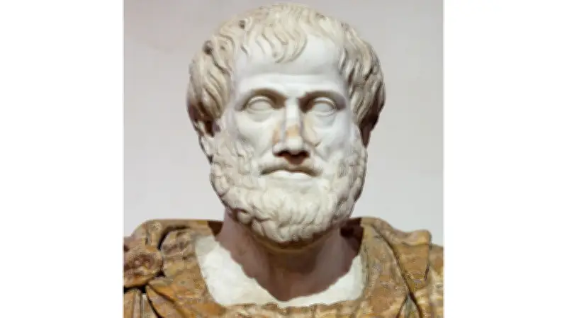 Why Aristotle Is Considered the First Political Scientist: A Reflection