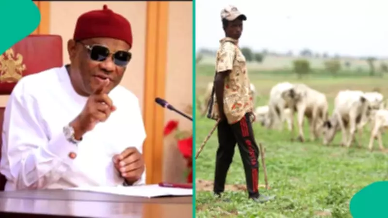 Wike Apologises for Roaming Cattle on Abuja Roads, Takes Responsibility