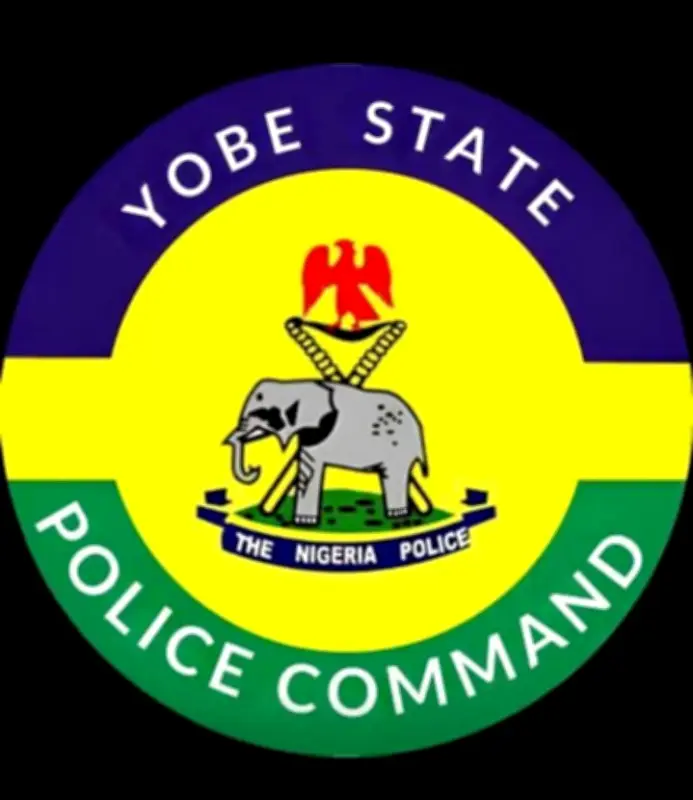Yobe Police Arrest Man for Defiling 8-Year-Old Sister