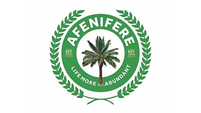 Afenifere Warns Delay in State Police Risks Ethnic Conflicts in Nigeria