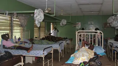 Borno Records 274 New Cholera Cases in 24 Hours, Total Hits 4,204