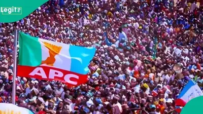 INEC Declares APC's Dayo Faduyile Winner of Ondo South Senatorial By-Election