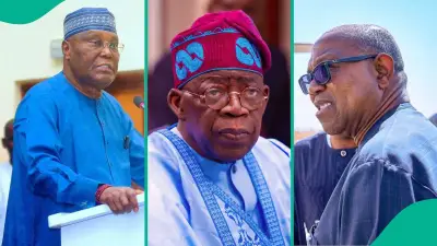 Jibrin Predicts Tinubu's Victory in 2027 Presidential Election