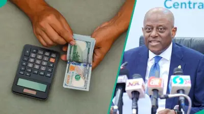 Naira Appreciates 0.55% at Official FX Window as Reserves Hit 13-Year High