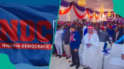 NDC Under Pressure as Youths Demand Release of Delayed Primary Results