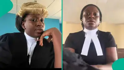 Nigerian Lawyer Advises on Loan App Harassment: What to Do