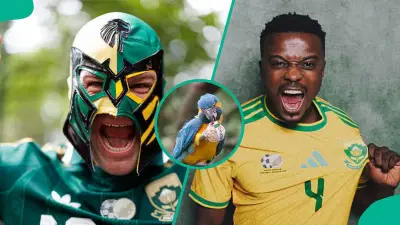 Parrot Predicts Mexico to Beat South Africa in 2026 World Cup Opener