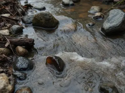 Plateau records 11 cholera cases, 5 deaths in Mangu LGA outbreak