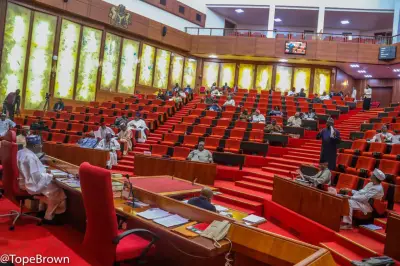 Senate Passes Bill to Establish State Police in Nigeria