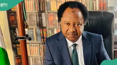 Shehu Sani Predicts Oyebanji Victory in Ekiti Governorship Election