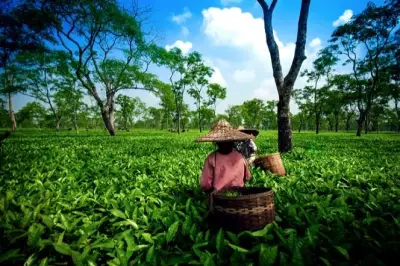 Stakeholders Push Agritourism as Key to Food Security and Economic Growth